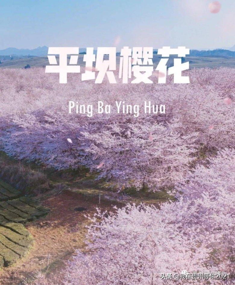 不请自来的客人